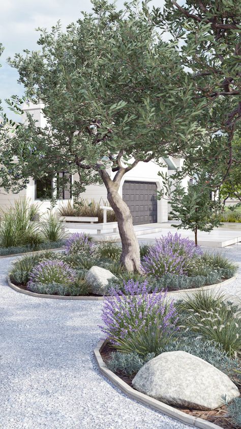 Mediterranean Garden Design, Online Landscape Design, Moderne Have, Mediterranean Landscaping, Front Yard Design, Front Landscaping, Low Maintenance Landscaping, Mediterranean Garden, Have Inspiration