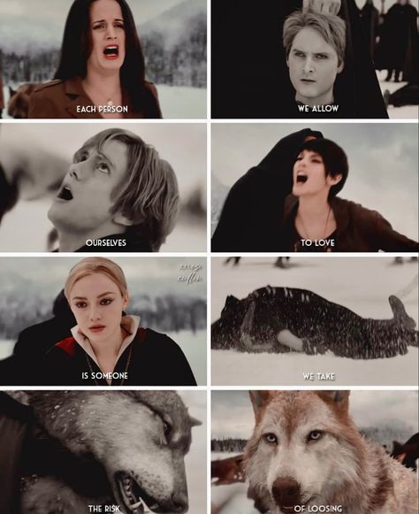 The Pack Twilight, Twilight Wolves, Twilight Wolf Pack, Twilight Facts, Twilight Wolf, Twilight Scenes, Vampire Twilight, Twilight Moon, Twilight Aesthetic