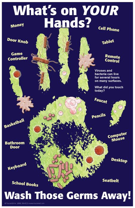 Hand Washing Poster, School Nurse Office, Health Fair, Family And Consumer Science, Health Class, Infection Prevention, School Health, Nurse Office, Infection Control