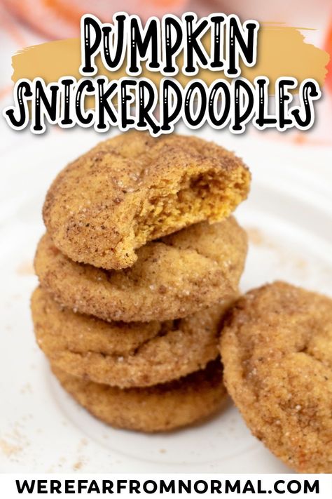 These soft chewy pumpkin snickerdoodle cookies are great for fall! Delicious pumpkin cookie dough is rolled in a cinnamon-sugar mixture to create the perfect cookies! Pumpkin Snickerdoodle Cookie Recipe, Chewy Pumpkin Cookies, Pumpkin Snickerdoodle Cookies, Family Breakfast Recipes, Pumpkin Snickerdoodles, Snickerdoodle Cookie, Recipes Pumpkin, Frozen Pumpkin, Cinnamon Pumpkin