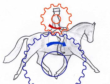 Horse Biomechanics, Rider Biomechanics, Mechanical Principles, Horses Jumping, Centered Riding, Horseback Riding Tips, Horse Lessons, Dressage Training, Happy Horse