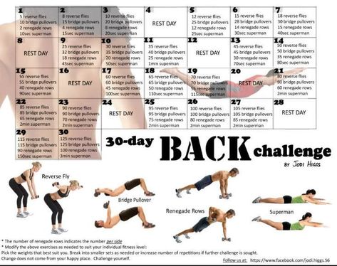 30 Day Back Challenge, 30 Day Arm Challenge, 30 Day Arm, Back Challenge, Challenge 30 Day, Beginner Fitness, Core Workout Videos, Month Workout Challenge, Arm Challenge