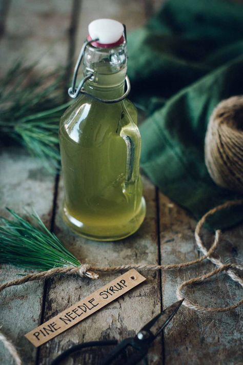 Pine Needle Syrup, Forest Recipes, Pine Syrup, Tonic Drink, Wild Food Foraging, Foraging Recipes, Healthy Dog Treats Homemade, Foraged Food, Homemade Syrup