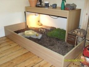 Russian Tortoise Table idea for my future Russian tortoise Tortellini Tortoise Enclosure Ideas, Tortoise Home, Turtle Enclosure, Russian Tortoise Diet, Tortoise Diet, Tortoise House, Tortoise Table, Animal Enclosures, Tortoise Enclosure