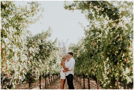 Napa Valley Winery engagement session || Photography by Shelly Anderson Photography || www.shellyandersonphotography.com Napa Valley Engagement Photos, Napa Engagement, Winery Couples Photography, Napa Engagement Photos, Vineyard Engagement Shoot, Winery Engagement Photos, Vineyard Engagement Photos, Engagement Announcement Photos, Napa Wineries