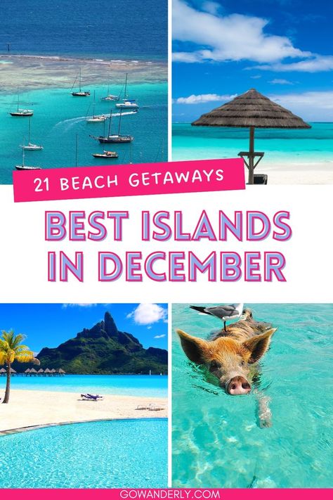 Find the best islands for a December vacation in our comprehensive guide. Perfect for holiday planners. Save this pin to keep these tips handy! Best Islands To Visit In Caribbean, Tropical Places To Visit, Places To Visit In December, Best Tropical Vacations, Cheap Vacation Destinations, Christmas Vacation Destinations, Caribbean Islands Vacation, Best Islands To Visit, Tropical Travel Destinations