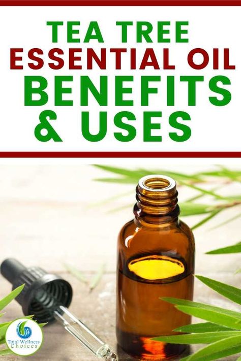 Teatree Oil Skin Benefits, Teatreeoil Uses, Tea Tree Essential Oil Uses, Tea Tree Essential Oil Benefits, Tree Oil Benefits, Topical Essential Oils, Pioneer Living, Natural Household Products, Suburban Homestead