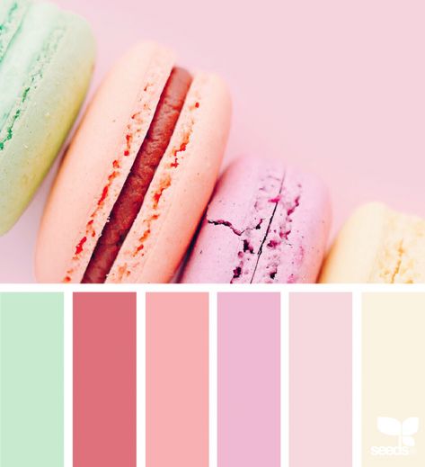 Sweet Tones | design seeds | Bloglovin’ Sweet 16 Color Schemes, Color Schemes Yellow, Design Seeds Color Palette, Seeds Color Palette, Mint Color Palettes, Today's Inspiration, Blush Color Palette, Pink Color Combination, Seeds Color