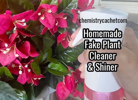 This post may contain affiliate links. These help support this website. If you need a homemade fake plant cleaner and shiner, this is the best one!The older I have gotten, the more artificial and silk plants I have around my house. After my second baby was born, I had less and less time to devote to my potted plants like I used to. So, I started utilizing fake plants, and it has been great.Many of them I have had for about five years, and they still look good.The biggest issue with f… How To Clean Artificial Plants, Diy Sprays, Silk Plants, Cleaners Homemade, Second Baby, Fake Plants, Faux Plants, Fabric Softener, Affiliate Links