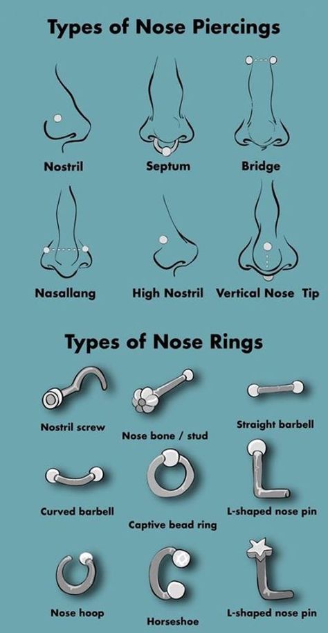 Height Exercise, Piercings Nase, Orr Piercing, Piercing Face, Piercings Bonitos, Piercing Bouche, Cute Nose Piercings, Ear Piercings Chart, Piercing Chart