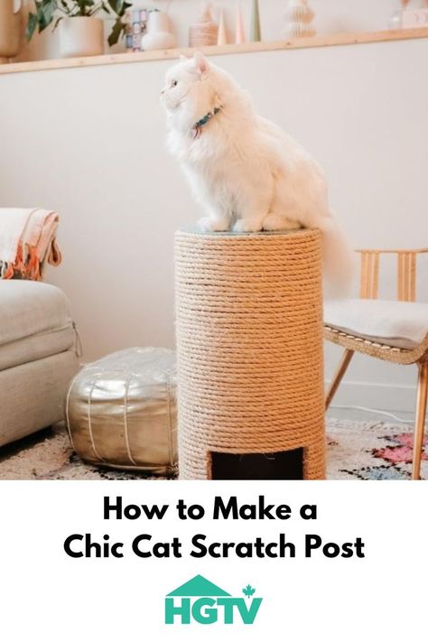 Cat standing on a scratch post Diy Cat Scratching Post, Cat Scratch Post, Cat Climbing Frame, Kitty Baby, Cat Furniture Diy, Cat Scratch, Cat Scratching Post, Cat Climbing, Diy Cat