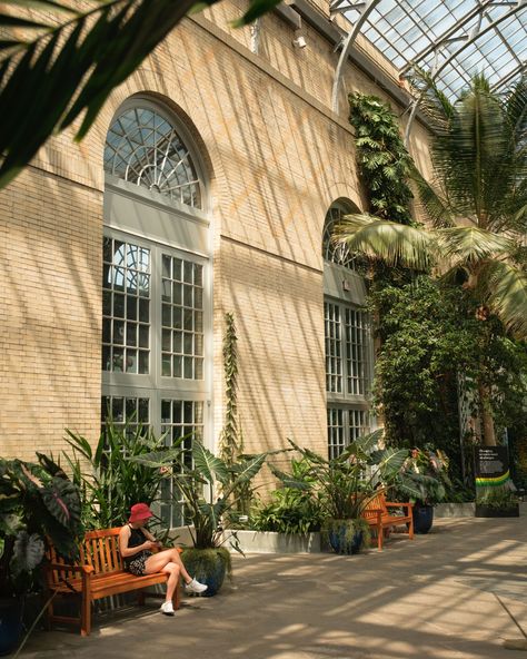 Inside the United States Botanic Garden, Washington, District of Columbia United States Botanic Garden, Hotel Motel, White Car, Posters Framed, City Car, District Of Columbia, Botanic Garden, Image House, City Skyline