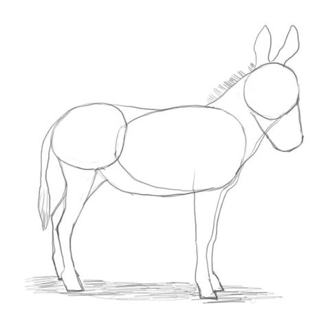 Donkey Drawing Reference, Donkey Outline Drawing, How To Draw Donkey, How To Draw A Donkey Step By Step, Donkey Drawing Sketches, Donkey Drawing Easy, Drawing Donkey, Donkey Sketch, Cute Donkey Drawing Art