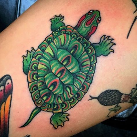 Traditional Tattoo Turtle, Neo Traditional Turtle Tattoo, Box Turtle Tattoo, Sea Turtle Traditional Tattoo, Traditional Turtle Tattoo, Traditional Tattoo Nature, New School Turtle Tattoo, American Traditional Sea Creature Tattoo, Tortoise Tattoo