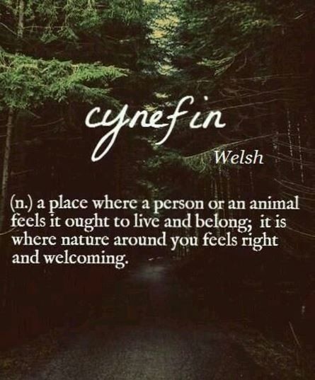 Have you found your cynefin? Your HOME? Where do you feel like you belong? . . . . #hometownhoodies #home #travel #love #wanderlust #lonelyplanet #traveltheworld #illinois #minnesota #missouri #wisconsin #texas #washington #oregon #california #maine #michigan Longing For Something Unknown, A Person Who Loves Nature, Person Who Loves Nature, Sanna Ord, Citation Nature, Menulis Novel, Quotes Amazing, Friends Camping, Briar Patch