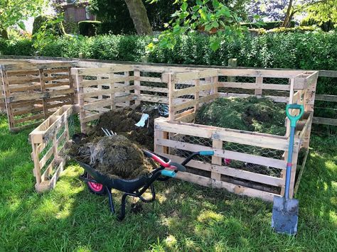 Small Garden Allotment, Easy Compost Bin, Compost Bin Pallet, Making A Compost Bin, Compost Bin Diy, Growing Organic Vegetables, Small City Garden, Diy Compost, How To Make Compost