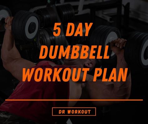 30 Day Dumbbell Workout, Dumbbell Workout Plan Men, Workout Split 5 Day Women Dumbbell, Dumbell Workout Plan For Women, Men’s Workout Plan, 5 Day Dumbbell Workout Plan, Full Body Dumbbell Workout For Men, Dumbell Workout Routine, 5 Day Workout Plan Men