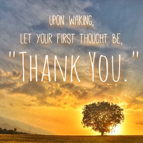 Thank you!, me first, The Peak, what’s important, and lots of free health-related resources | Evolution Made Easier Daily Gospel, Attitude Of Gratitude, Gratitude Quotes, Grateful Heart, Spiritual Inspiration, A Quote, Positive Thoughts, Good Morning Quotes, Great Quotes