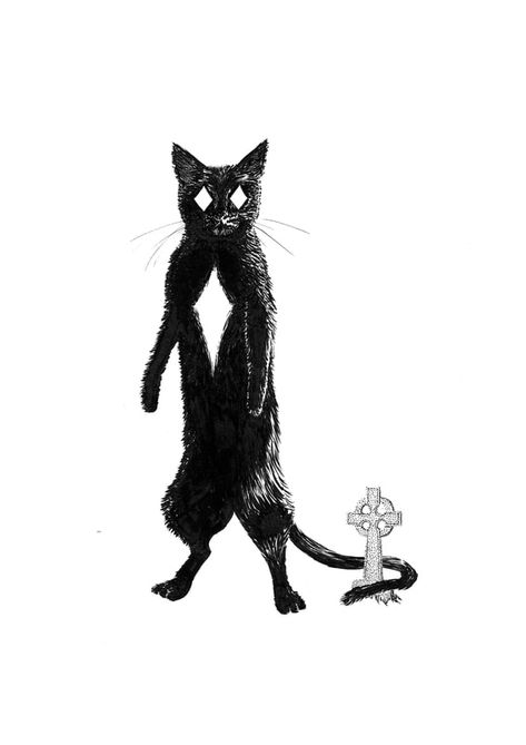 Cait-sidhe Cait Sith Mythology, Cait Sidhe, Cat Folklore, Scottish Mythology, Creepy Animals, Horror Tale, Fairy Tale Illustration, Winter Illustration, Skeleton Art