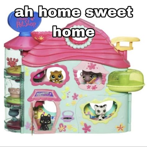 Littlest Pet Shop 2000s, Lps Memes, Lps Aesthetic, Lps Nostalgia, Lps Houses, My Own Space, 3d Pokemon, Image Meme, Lps Popular