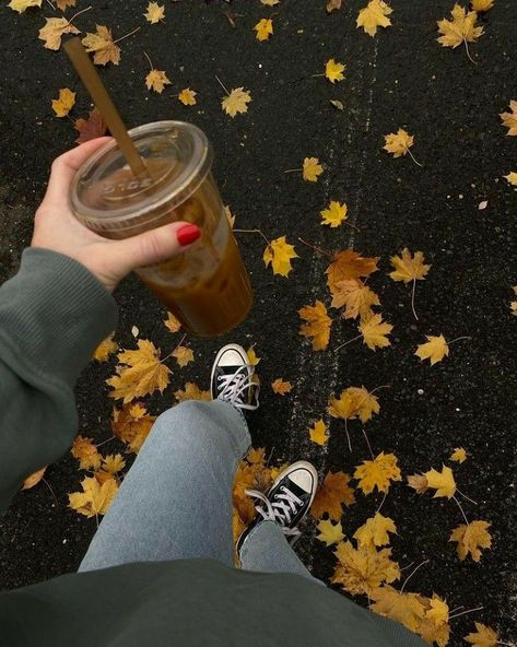 Dark Academia Converse, Coffee Dark Academia, Fall Aesthetic Pictures, Gilmore Girls Seasons, Fall Boards, Fall Mood Board, Aesthetic Couple, Autumn Magic, Pumpkin Spice Season