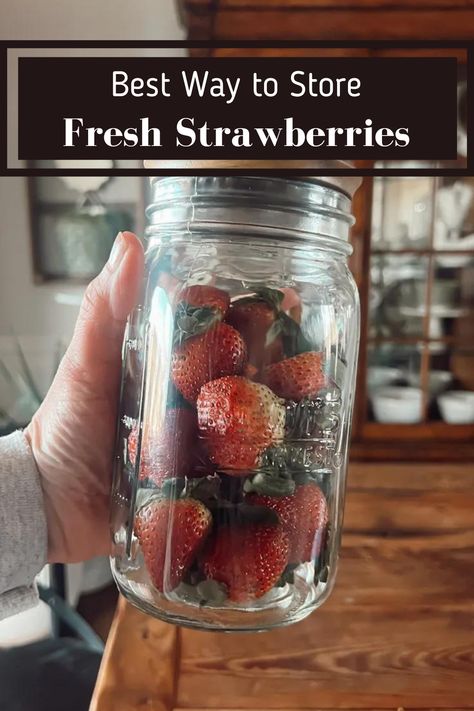 I'm going to show you a way to extend the shelf life of strawberries so that you can enjoy them for up to 10 days or more. Yes, that's right! Strawberries can last up to two weeks in the refrigerator when stored this way! All you will need is a little vinegar, a mason jar with an air tight lid, and the strawberries! Keep reading to learn the best way to store fresh strawberries! Ninnescah Homestead, Small Shoe Storage, Natural Household Products, How To Store Strawberries, Cheesecake Tarts, Strawberry Rhubarb Crisp, Cut Strawberries, Rhubarb Crisp, Cast Iron Skillet Recipes