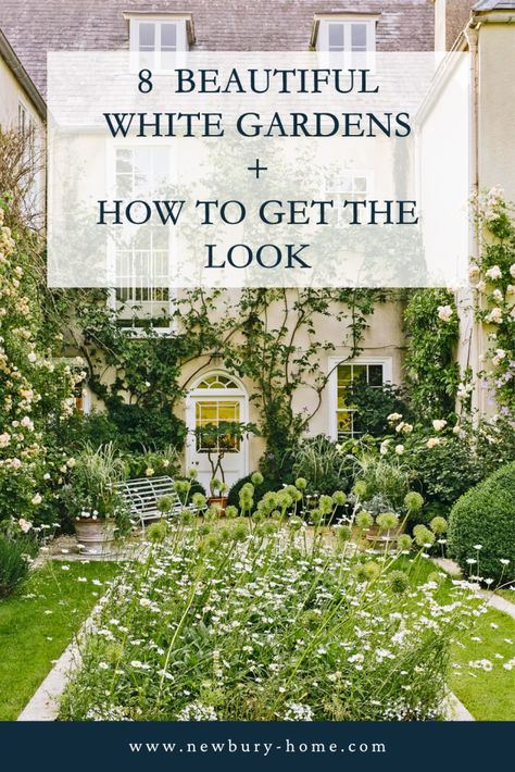 Pink And White Garden Ideas, Green And White Gardens Landscapes, White Cottage Garden, English Shade Garden, Ontario Garden Ideas, Green And White Landscaping, All White Garden, White Perennial Flowers, Green And White Garden