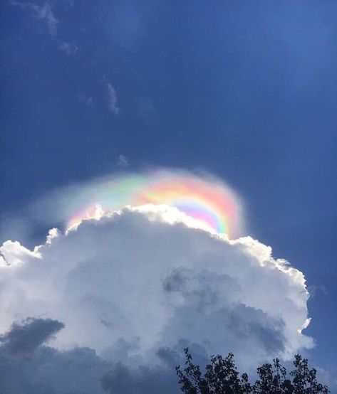 Whimsical Clouds, Drawing Sky, Rainbow Drawing, Fear Of Love, Fire Rainbow, Aesthetic Sky, Nature Instagram, Atmospheric Phenomenon, Rainbow Cloud