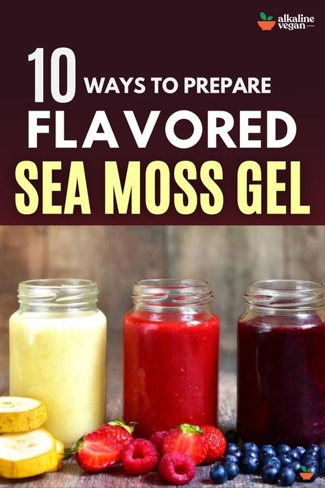 Flavored Sea Moss Gel Sea Moss Gel, Healthy Drinks Recipes, Alkaline Foods, Super Easy Recipes, Fruit Infused, Sea Moss, Health And Fitness Tips, Blood Sugar, Herbal Remedies