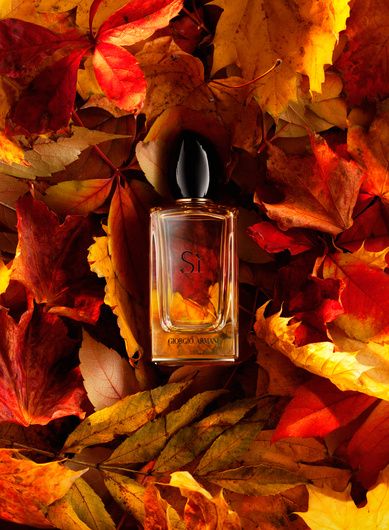 "Autumn" by Nazar Andriychuk #fstoppers #Product #stilllife #autumn #leaves #Commercial #armani #Si #perfume #nazarandriychuk Halloween Candle Photography, Autumn Perfume Photography, Halloween Product Photoshoot, Autumn Advertising, Si Perfume, Halloween Shoot, Autumn Skincare, Armani Si, Pumpkin Display