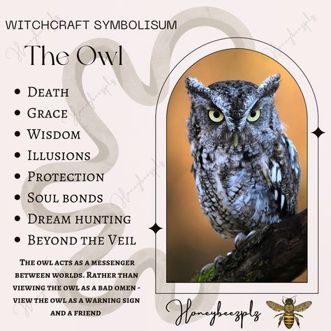 Click pin link for more information Owl Meaning, Owl Symbolism, Feminine Spirituality, Animal Spirit Guides, Divine Feminine Spirituality, Animal Guides, Eclectic Witch, Animal Spirit, Power Animal