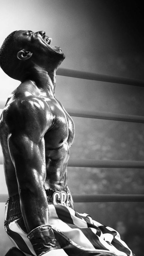 Boxer Wallpaper Iphone, Creed 2 Wallpaper, Male Wallpaper Iphone, Boxing Pictures, Boxer Portrait, Adonis Creed, Creed Wallpaper, Boxing Images, Cat Traps