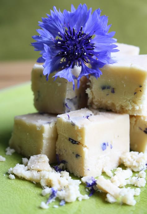 Visit the post for more. Cornflower Fudge Cornflower Recipes, Lavender Fudge, Floral Recipes, Flowers Recipes, Edible Flowers Recipes, Flower Recipes, Old But Gold, Fudge Recipe, Flower Food