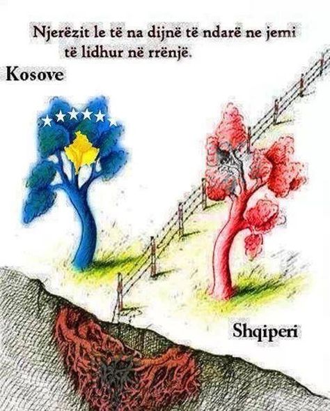 Albania and Kosovo forever united through deep roots. Independence Day Of Kosovo Drawing, Kosovo And Albania Flag Together, Albania Kosovo Wallpaper, Pavarsia E Kosoves Drawing, 17 Shkurti Kosova Punime, Albania Flag Drawing, 17 February Kosovo Drawing, Kosovo Flag Drawing, Kosova Drawing