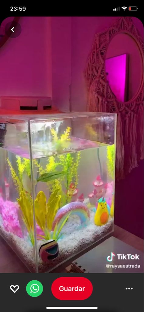 Aesthetic fish tank , indie fish tank , pecera indie , pecera aesthetic Pink Aquarium Aesthetic, Pink Betta Fish Tank, Aesthetic Fish Tank Ideas Pink, Pink Fish Tank Aesthetic, Girly Fish Tank Ideas, Pastel Fish Tank, Pink Fish Tank Ideas, Preppy Fish Tank, Cute Fish Tank Ideas Aesthetic