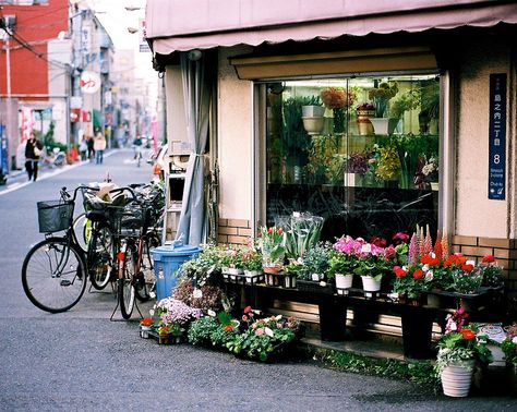 My Flower Shop by J.T. Ratcliff, via Flickr Japanese Flower Shop, Tumblr Flower, Garden Center Displays, Flower Shop Design, Asian Flowers, Japanese Flower, Florist Shop, Japanese Flowers, Store Front