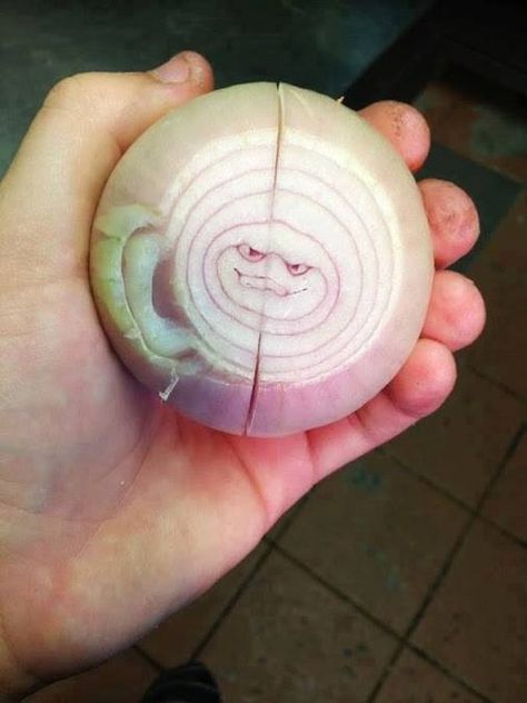 Evil onion will make you cry - Imgur Image Illusion, Things With Faces, Funny Vegetables, Funny Fruit, Clean Humor, Humor Grafico, 웃긴 사진, Make You Cry, Food Humor