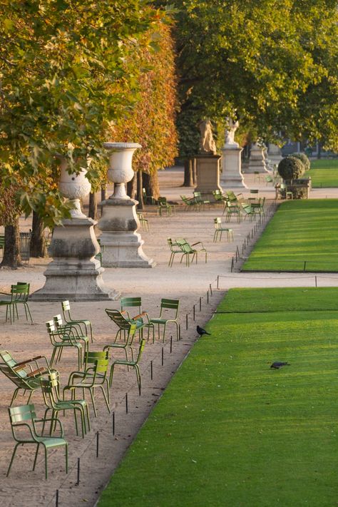 TUILERIES GARDENS PART 1 – AUTUMN AND WINTER — Parisian Moments Paris Locations, Gardens In Paris, Photo Paris, New Palace, Catherine De Medici, Paris Winter, Tuileries Garden, Jardin Des Tuileries, Luxembourg Gardens