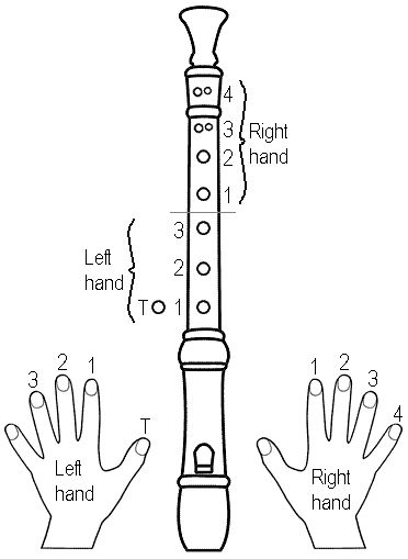 recorder 1b Teaching Recorder, Recorder Fingering Chart, Recorder Lessons, Recorder Songs, Music Teaching Resources, Homeschool Music, Music Lessons For Kids, Music Curriculum, Music Worksheets