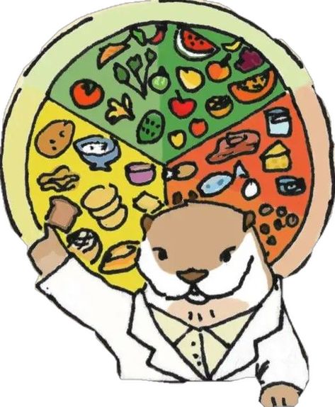 Ilustración de una Nutria nutricionista enseñando sobre el plato del bien comer en una feria de la salud como parte de la enseñanza sobre la alimentación saludable Cute otter, illustration, dietetics, dietitian goals Otter Illustration, Y2k Stickers, Nutrition Logo, Cute Otter, Unique Sticker, Fruit Recipes, Aesthetic Stickers, Food Illustrations, Printable Stickers