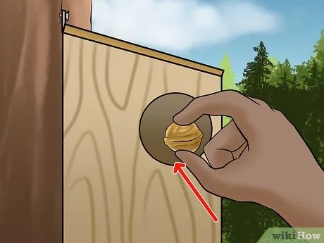 How to Build a Squirrel House: 14 Steps (with Pictures) - wikiHow Squirrel Feeder Diy, Squirrel House, How To Build Abs, Squirrel Home, Squirrel Feeders, Bird House Feeder, Bird House Plans, Bird House Kits, Bird Houses Diy