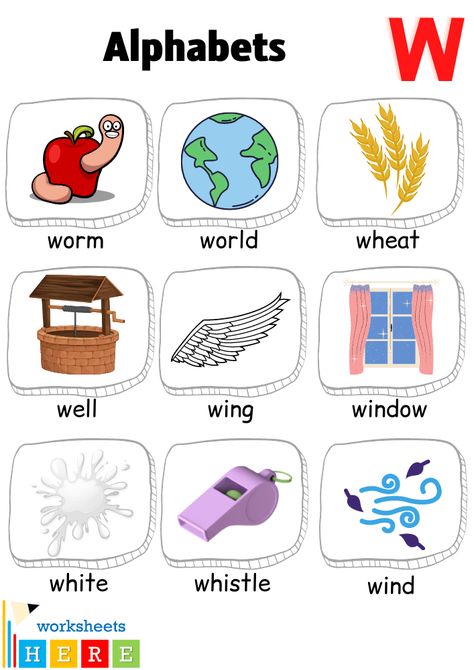 Alphabet V Words with Pictures, Letter W Vocabulary with Pictures - WorksheetsHere.com Montessori Space, Kids Learning Alphabet, Learning Alphabet, V Words, Words List, Alphabet Pictures, American School, Picture Letters, Alphabet Preschool