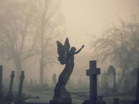 An angel in a foggy Hanwell cemetery | Let's Fold Scarves Goth Core, Angel Core, Cemetery Angels, Fatal Frame, Angel Aesthetic, Dark Paradise, Black Angels, Aesthetic Background, Season Of The Witch