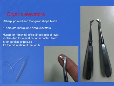 Dental Forceps Names, Dental Tools Names, Tool Names, Dental Notes, Dental Charting, Dental Assistant School, Dental Assistant Study, Dental Hygiene Student, Dental Extraction