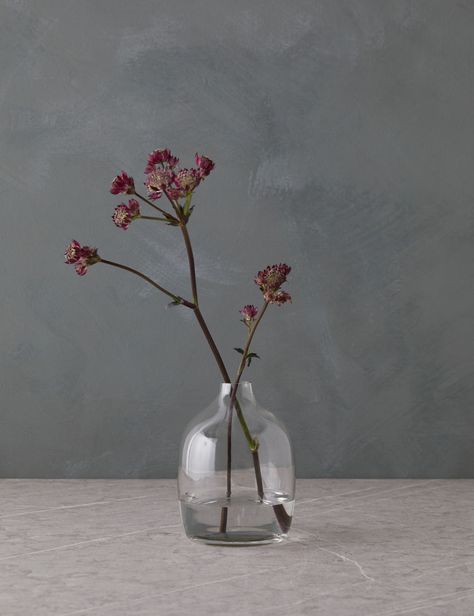 Flower Board, Painting Practice, Ikebana Flower, Small Glass Vases, Ikebana Flower Arrangement, Glass Bud Vase, Clear Vase, Gouache Art, Lulu And Georgia