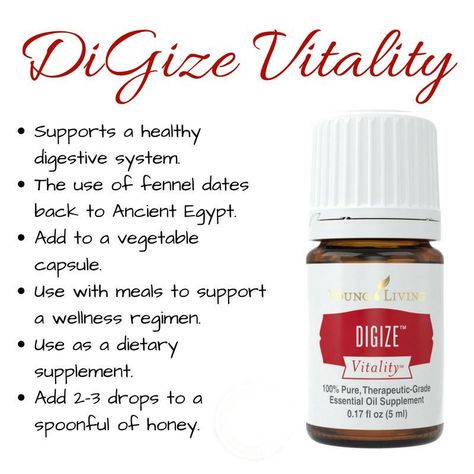 Digize Essential Oil Young Living, Digize Essential Oil, Young Living Recipes, Essential Oil Combinations, Young Living Essential Oils Recipes, Essential Oils Cleaning, Healthy Digestive System, Patchouli Essential Oil, Living Essentials Oils