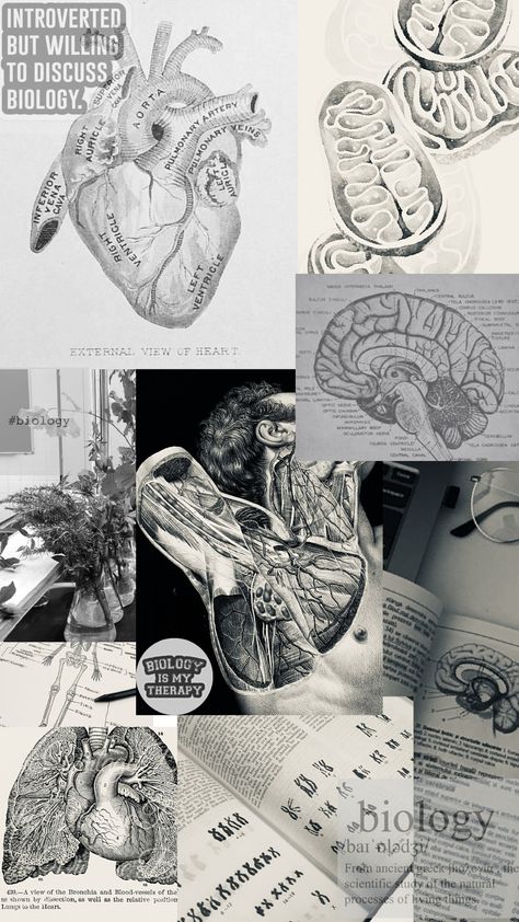 Science Aesthetic Wallpaper, Human Experiment Aesthetic, Biology Aesthetic Wallpaper, Biology Aesthetic, Biology Anatomy, Grey's Anatomy Quotes, Wallpaper Android, Body Anatomy, Anatomy Art