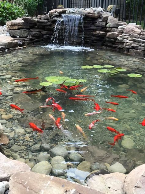 Fish Ponds Ideas Design, Koi Fish Pond Backyard Modern, Outdoor Ponds Ideas, Waterfall Fish Pond, Front Yard Pond Landscaping, Koi And Goldfish Pond, Fish Ponds Backyard Water Features, Koi Pond Waterfall Ideas, Coi Pond Backyard Ideas