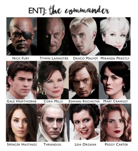 Entj Characters, Entj Women, Character Charts, Mbti Functions, Entj Personality, Character Chart, Introvert Extrovert, Myers Briggs Test, Mbti Relationships