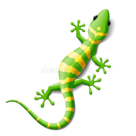 Gecko. Vector illustration of a gecko. No Mesh tool , #AFF, #illustration, #Vector, #Gecko, #tool, #Mesh #ad Gecko Tattoo, Gecko Wall Art, Mesh Tool, Animal Art Prints, Coloring Pages For Boys, Coloring Pages To Print, Animal Coloring Pages, Gecko, Painted Rocks